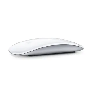 Apple Magic Mouse Sans Fil Rechargeable - Souris Multi-Touch Bluetooth pour Mac et iPad